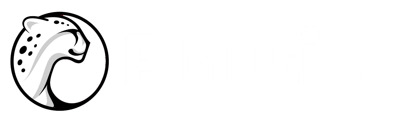 Client 04